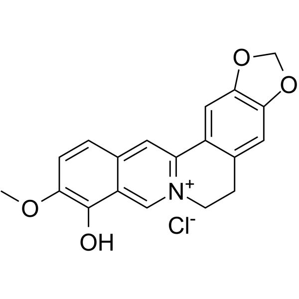 Berberrubine Structure